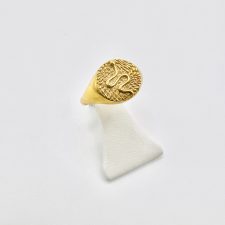 Anel Serpente em Prata Dourada EC